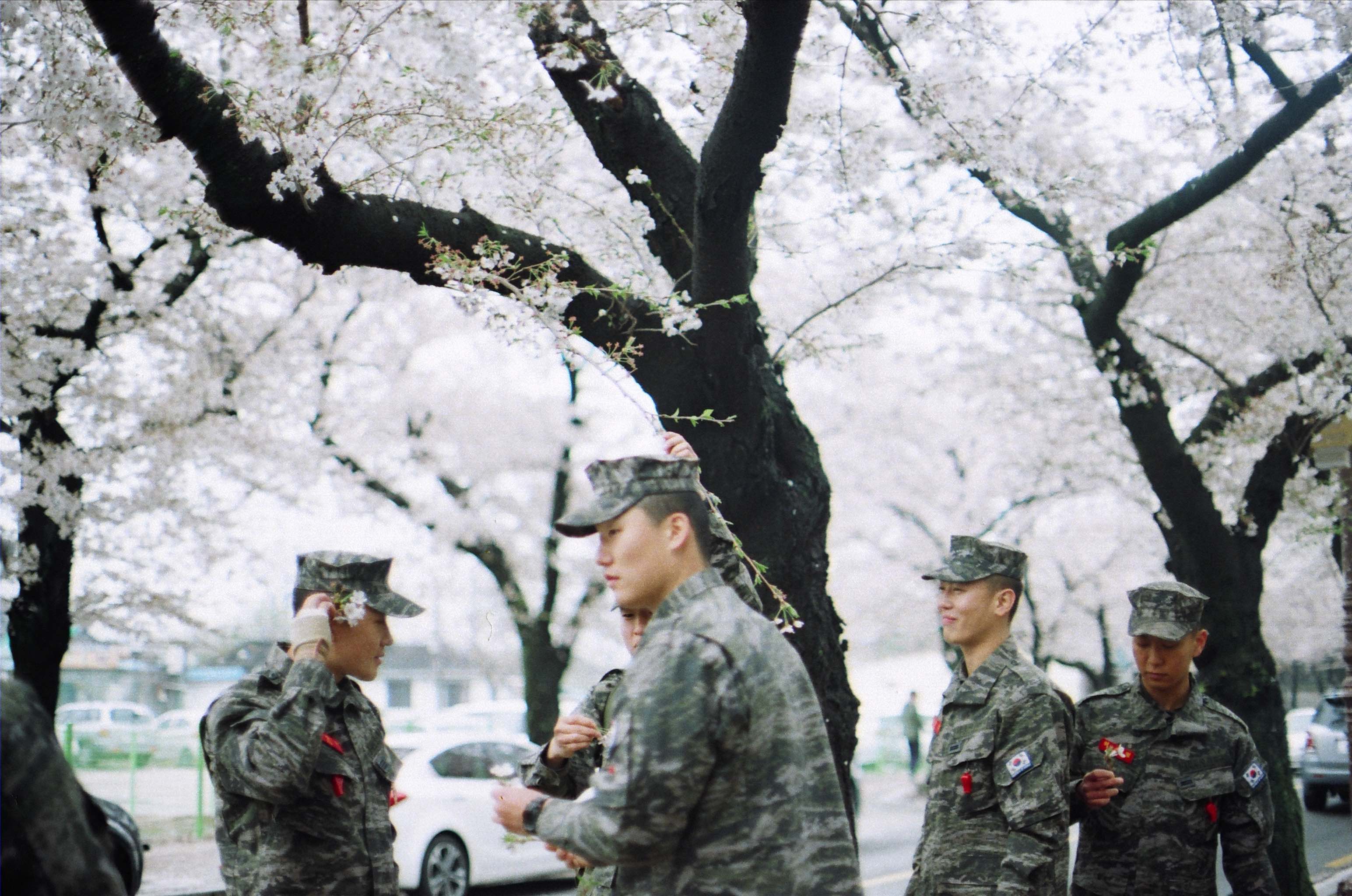 South Koreans photograph 1