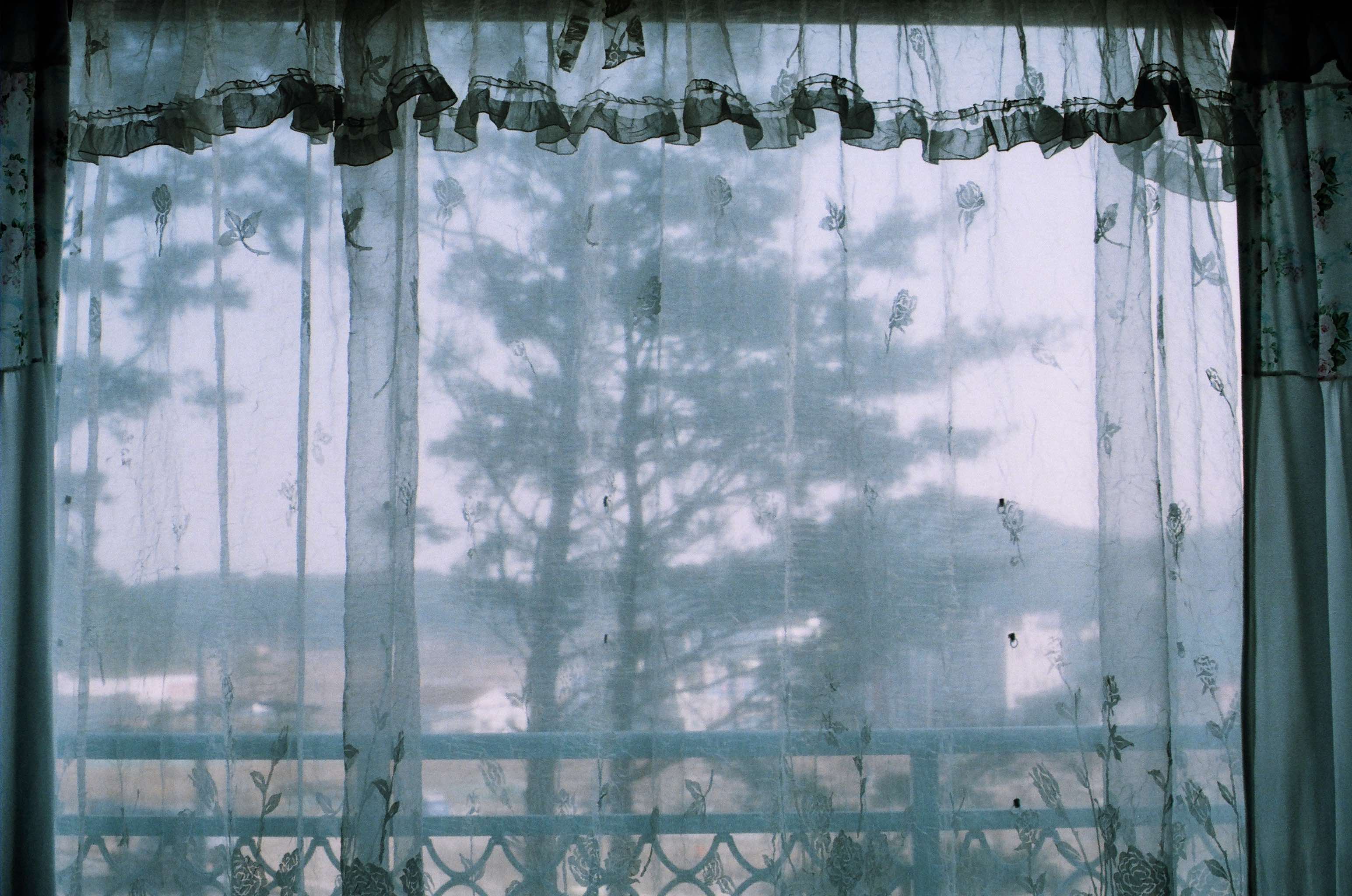 Late Childhood photograph 1