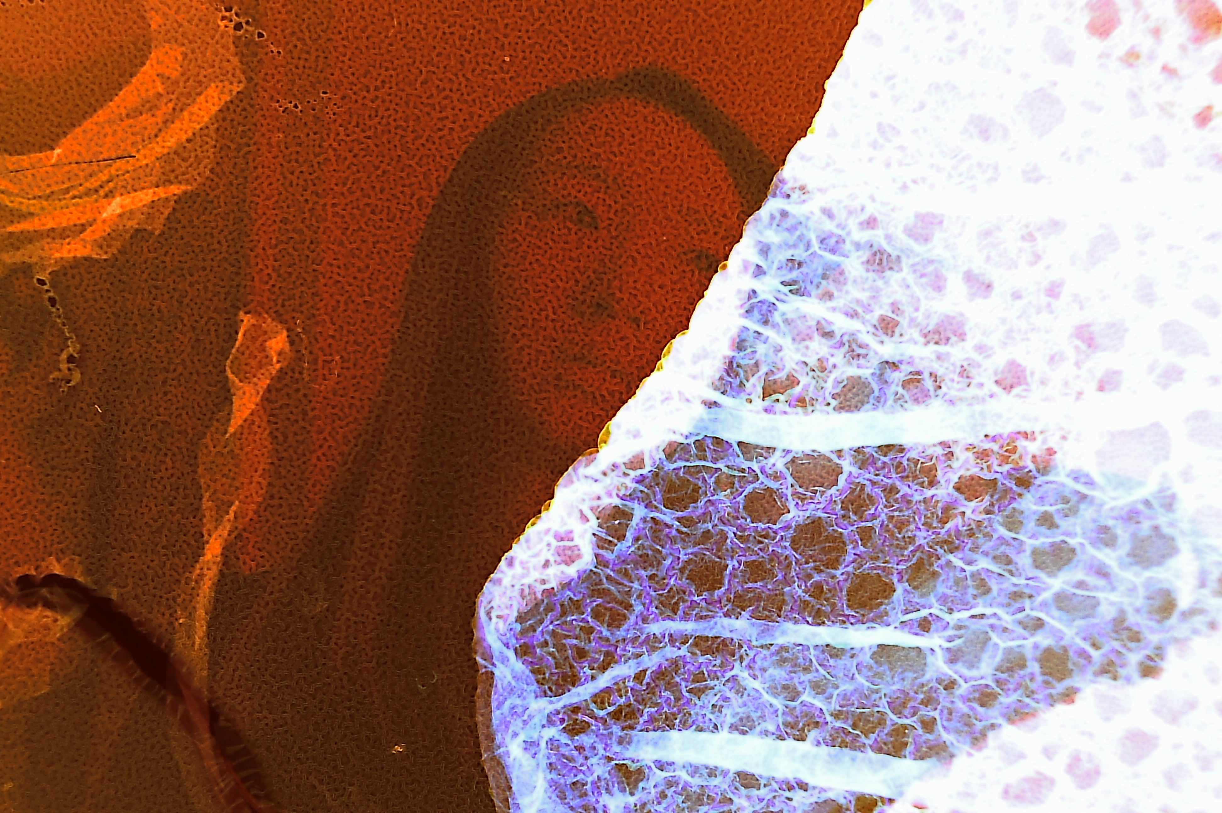 Not At All Digital, Not Even Mechanical photograph 1