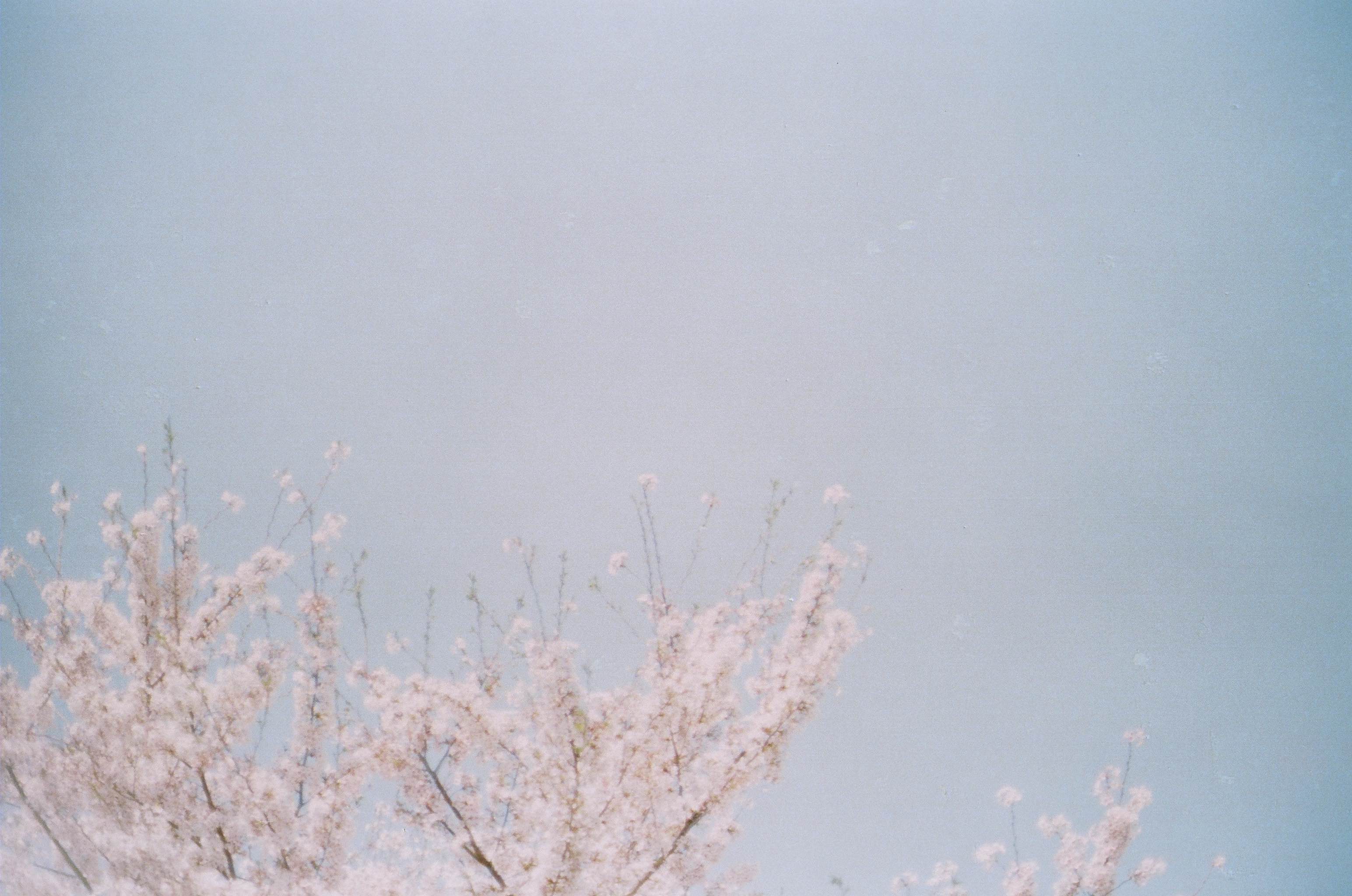 Late Childhood photograph 10