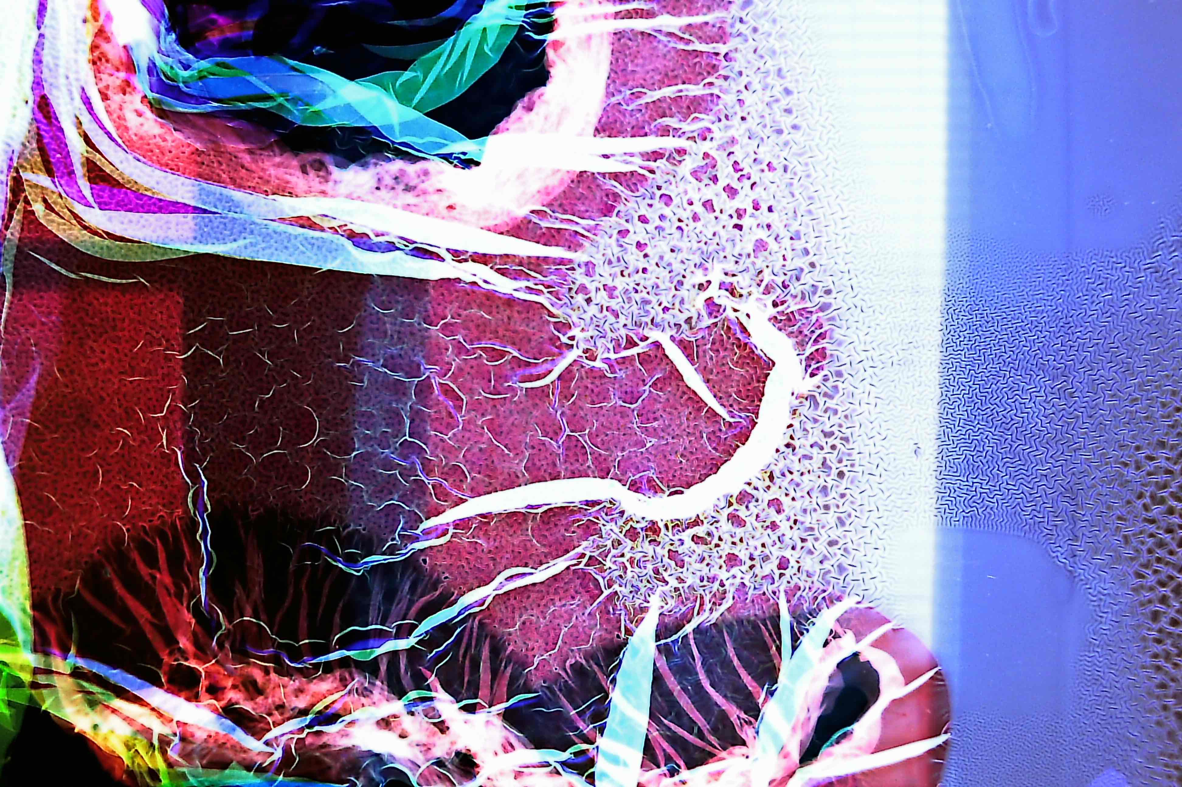 Not At All Digital, Not Even Mechanical photograph 10