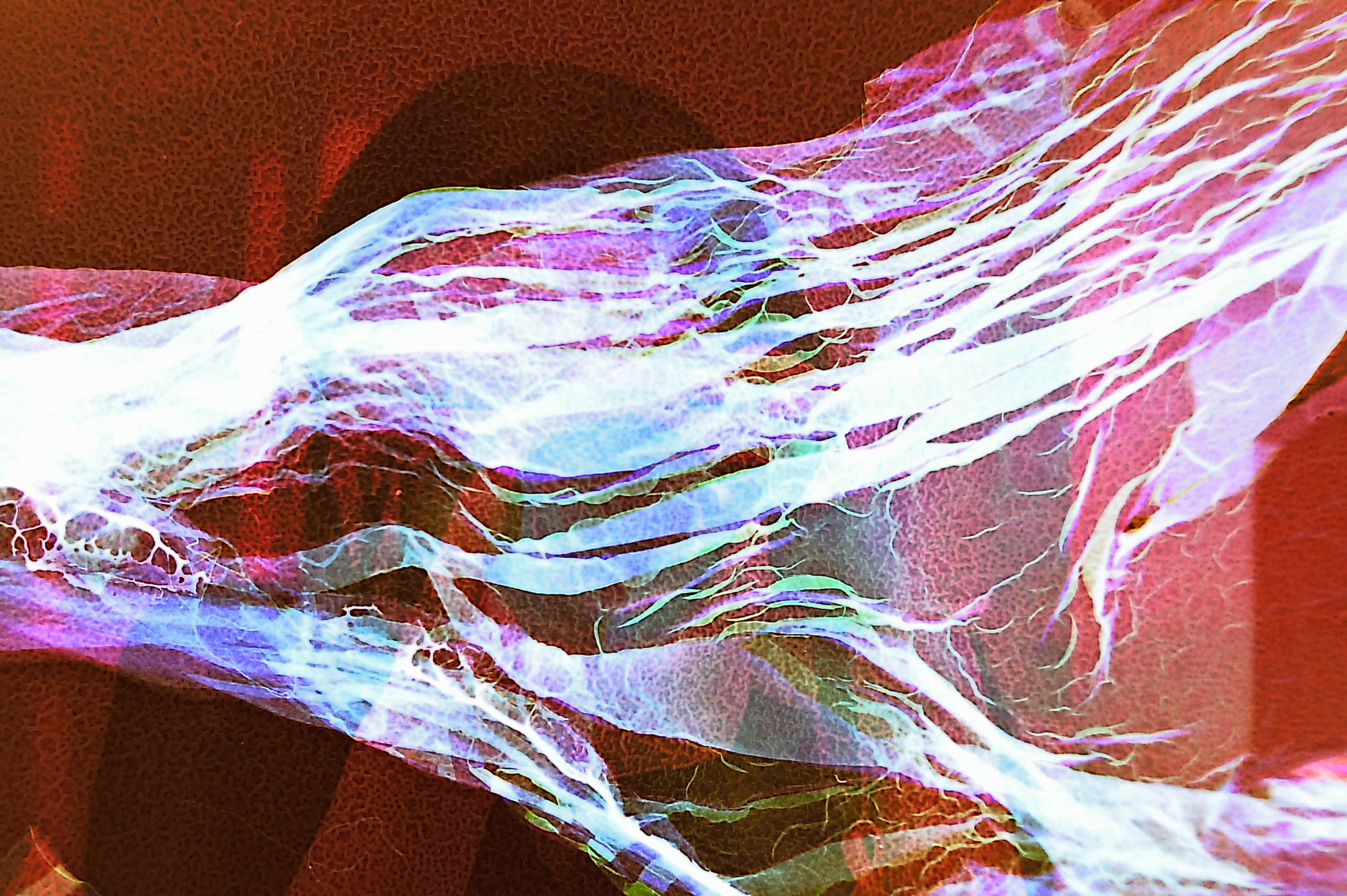 Not At All Digital, Not Even Mechanical photograph 11