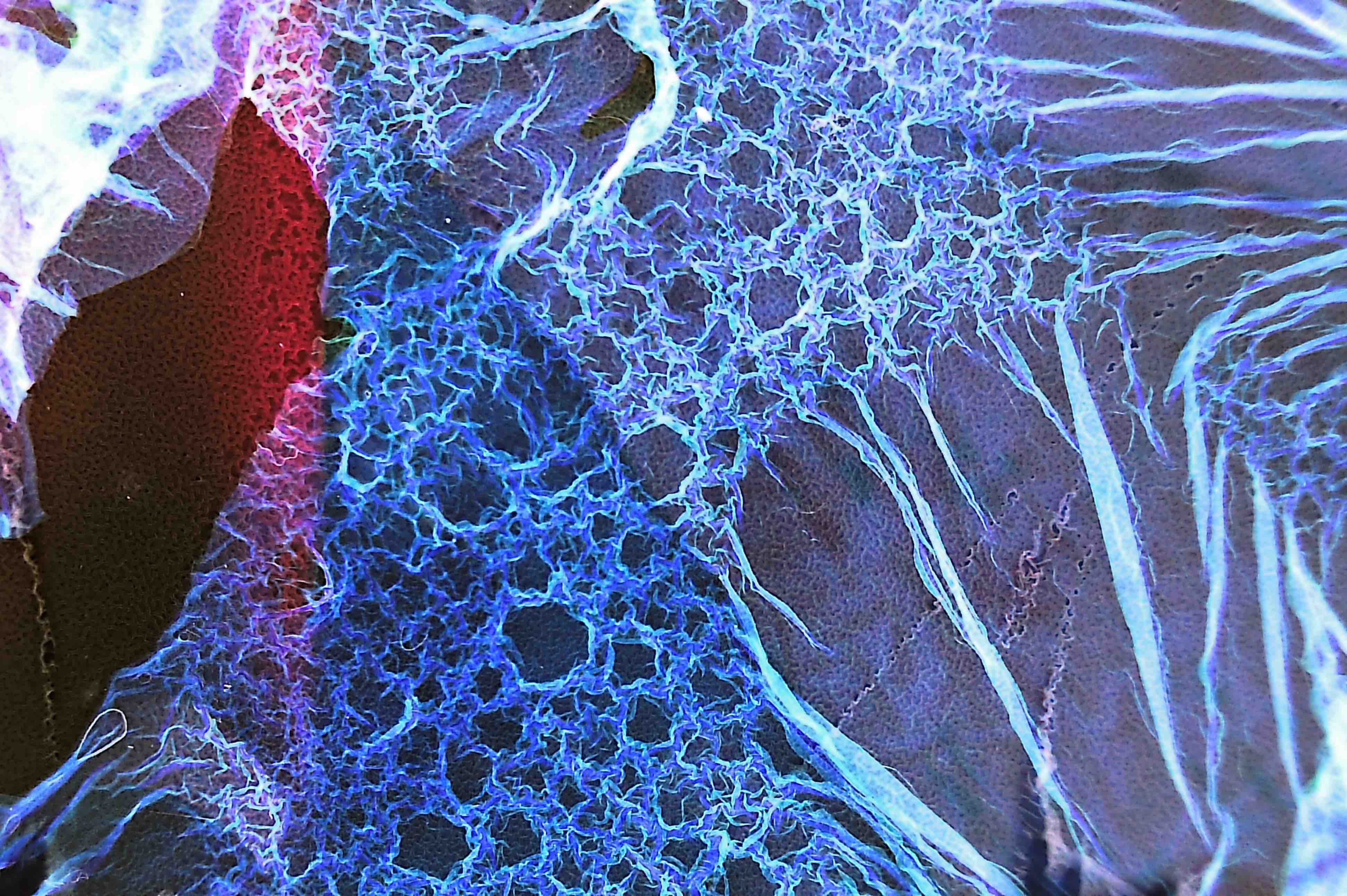 Not At All Digital, Not Even Mechanical photograph 12