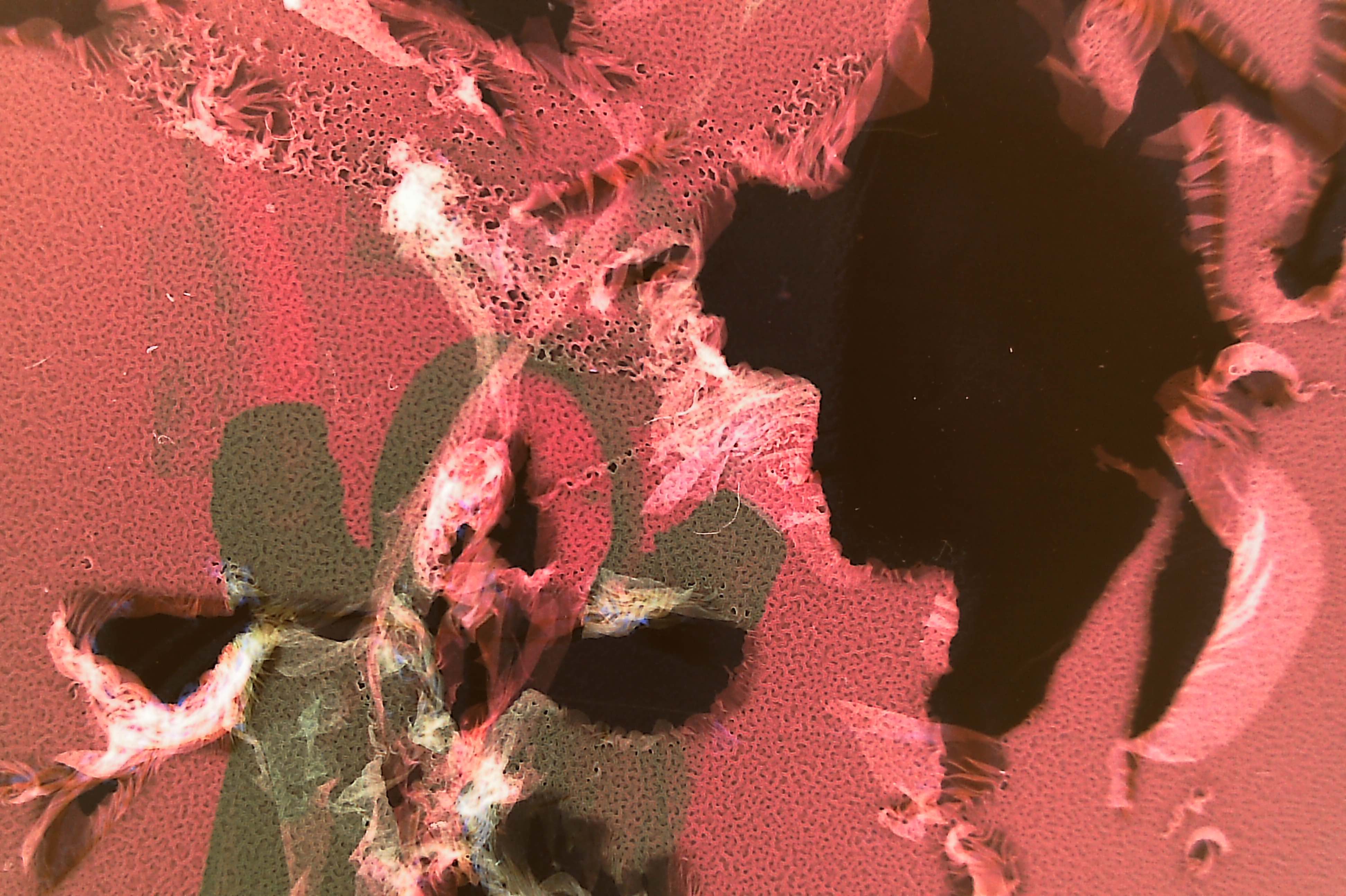 Not At All Digital, Not Even Mechanical photograph 13