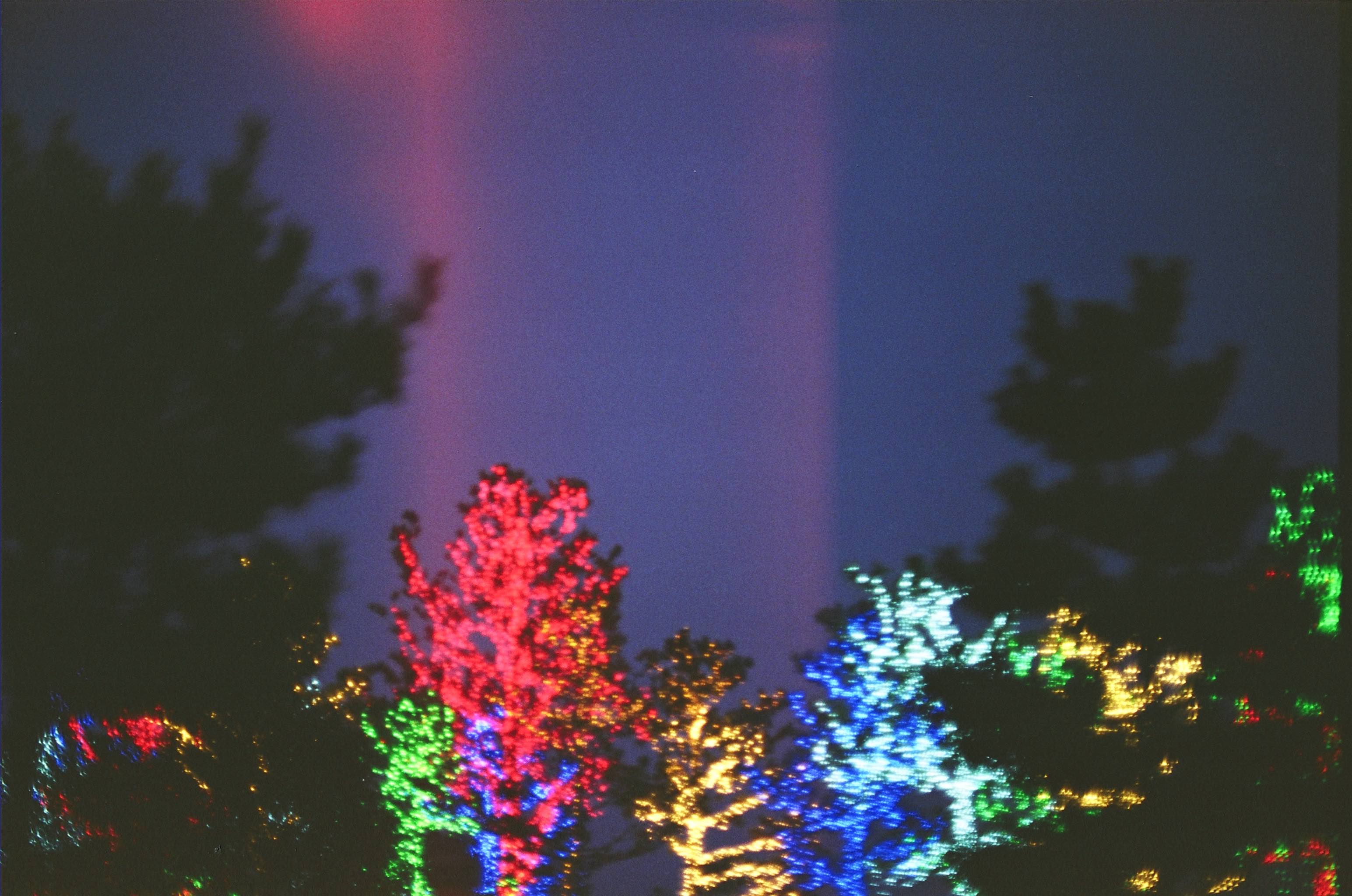 Late Childhood photograph 13