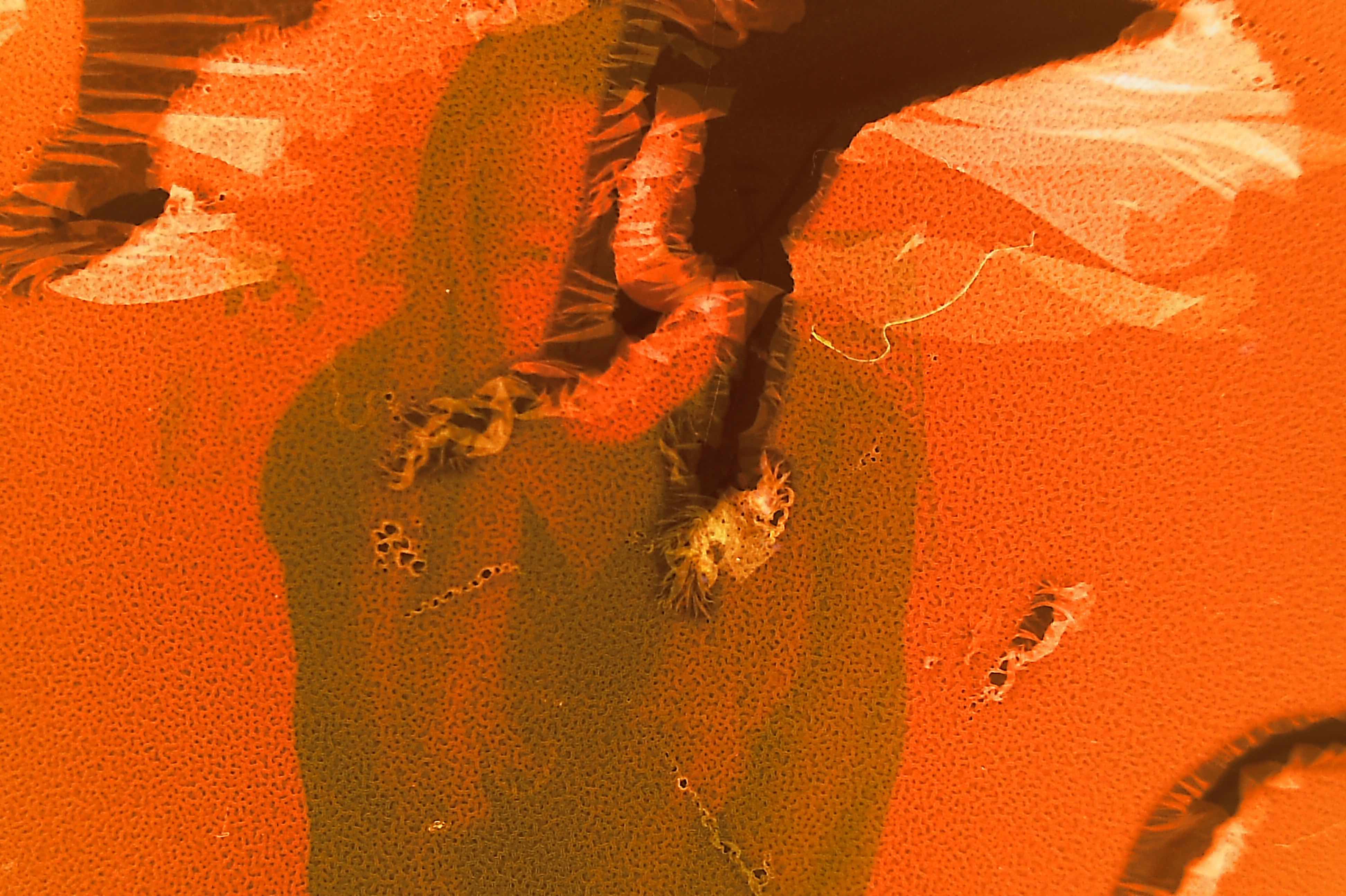 Not At All Digital, Not Even Mechanical photograph 14