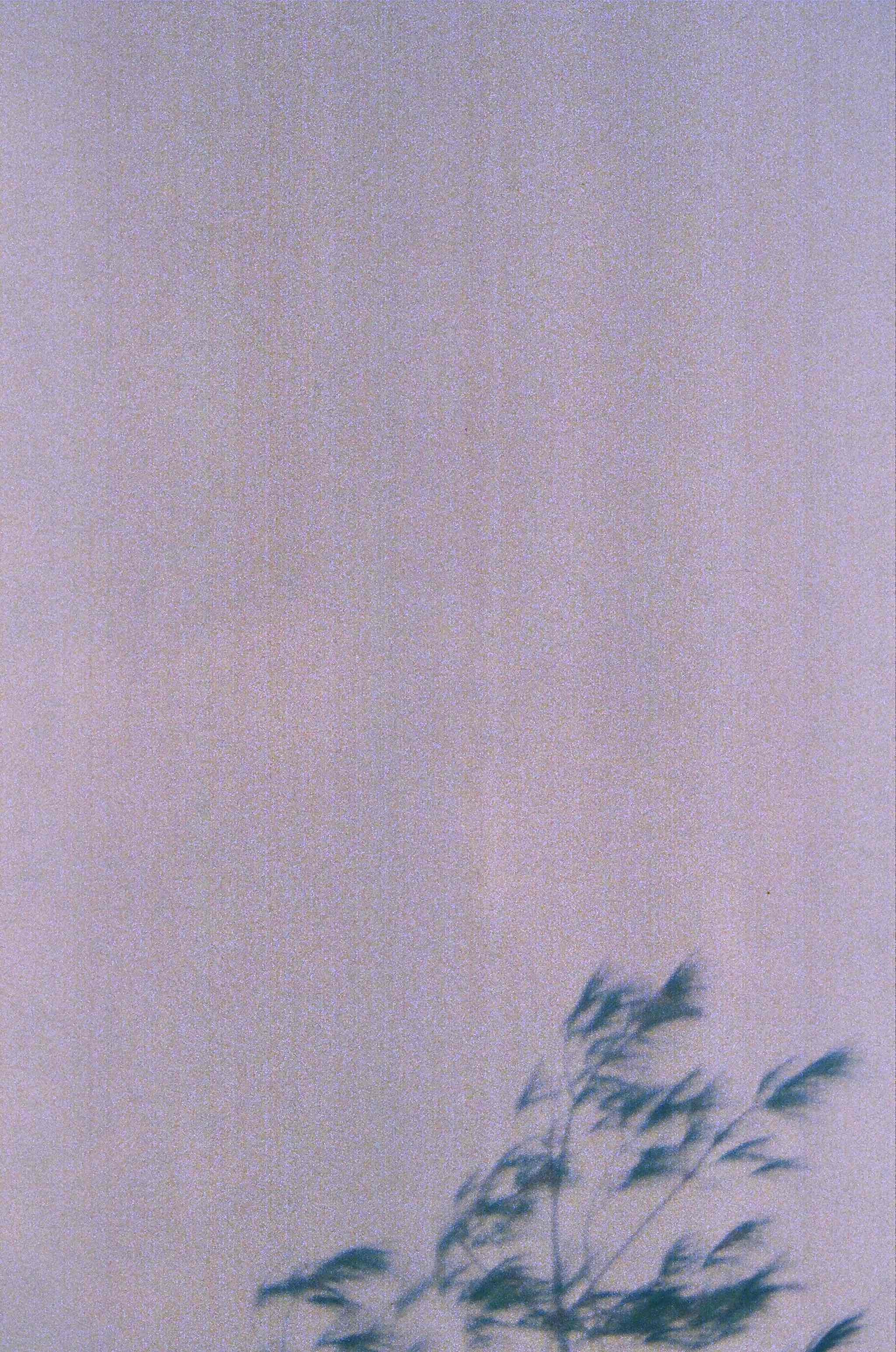 Late Childhood photograph 15