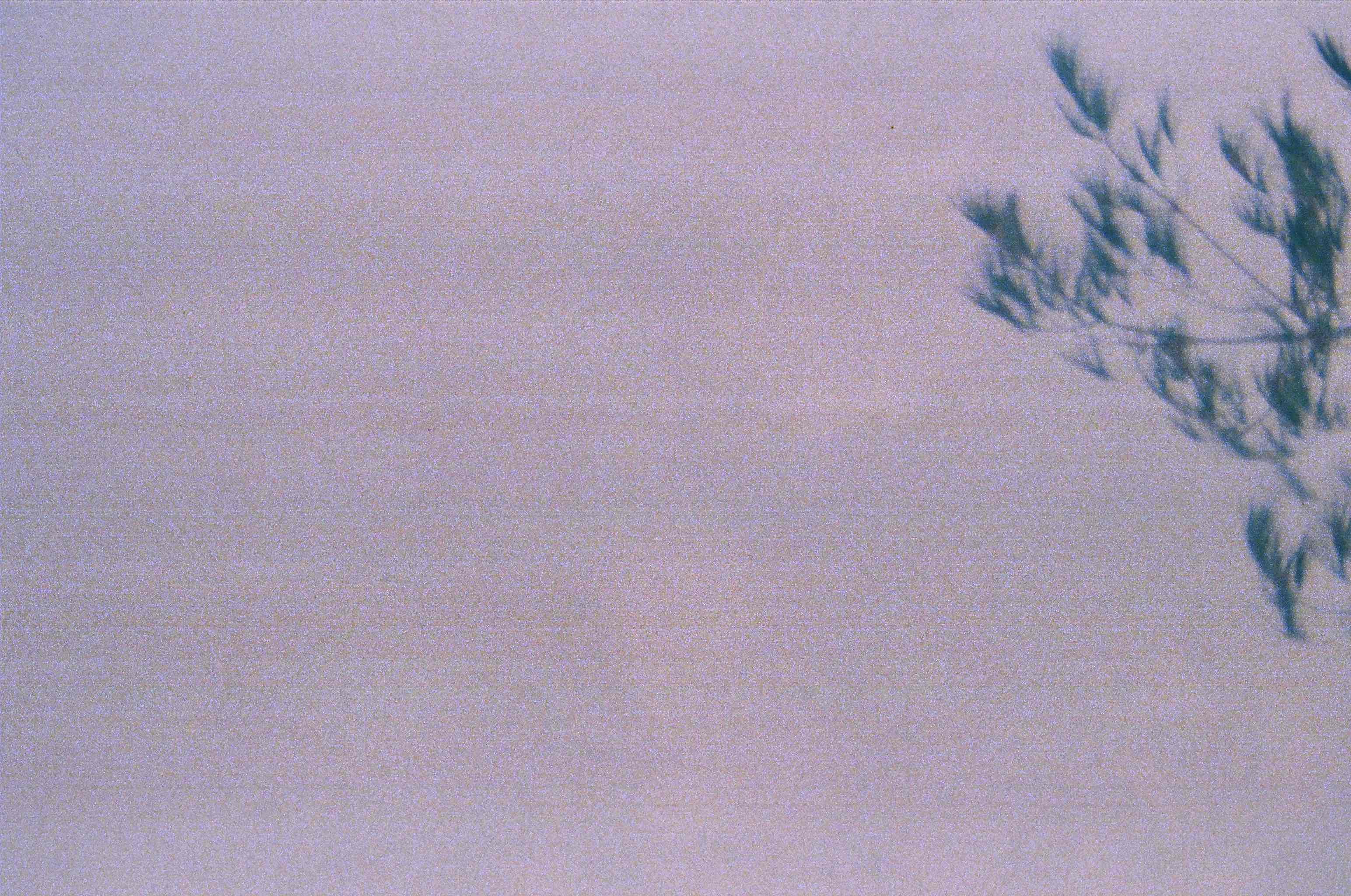 Late Childhood photograph 15