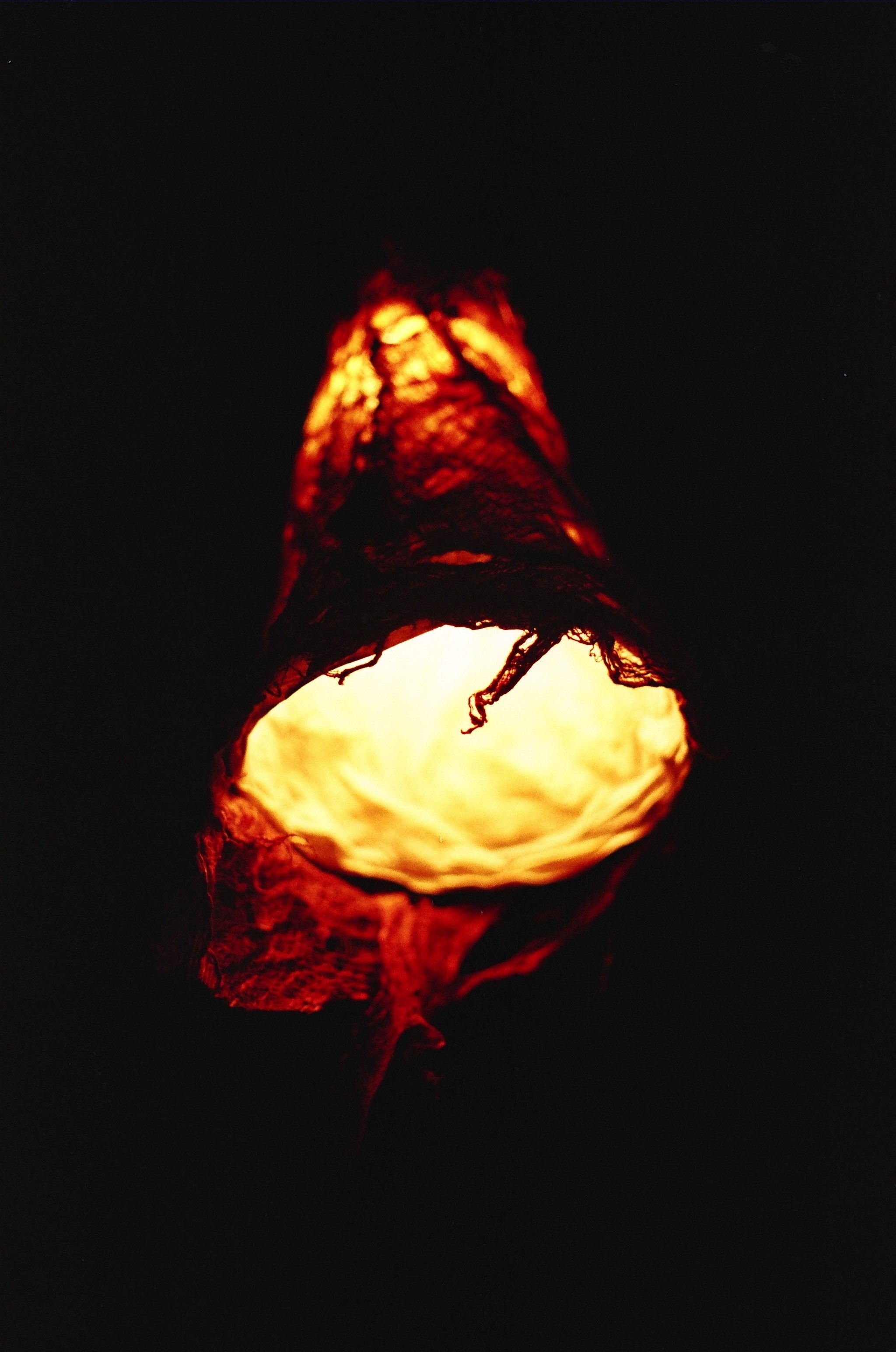 Late Childhood photograph 16