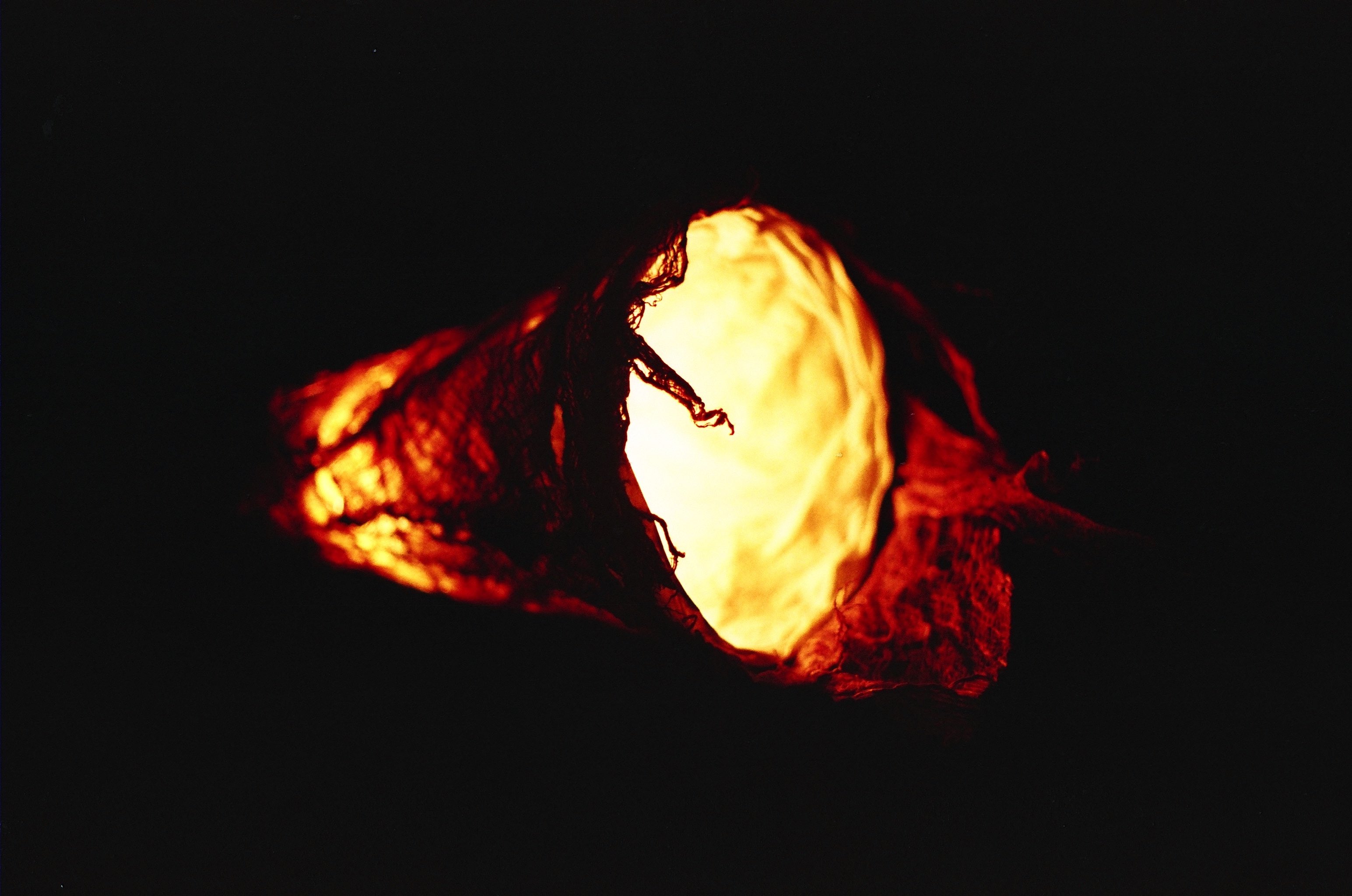 Late Childhood photograph 16