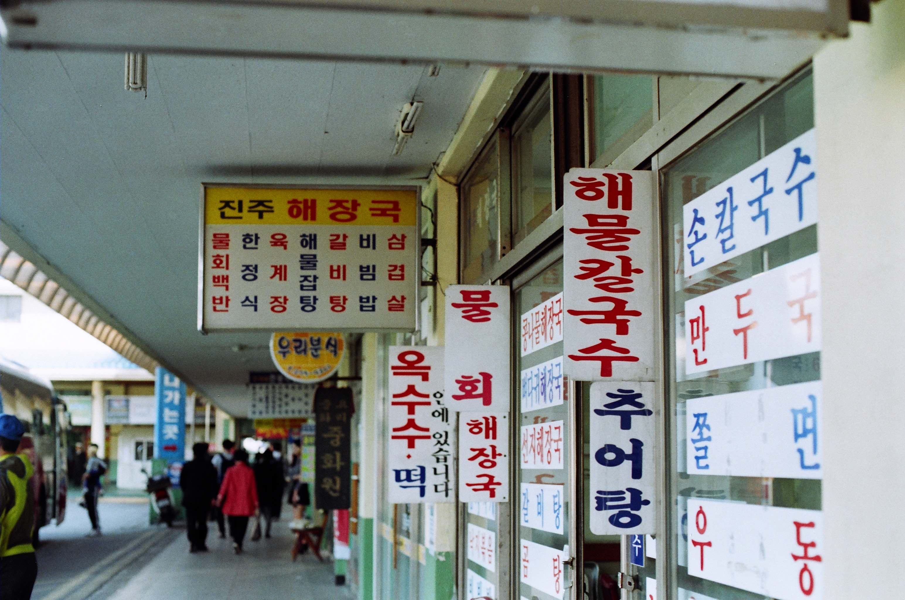 Late Childhood photograph 19