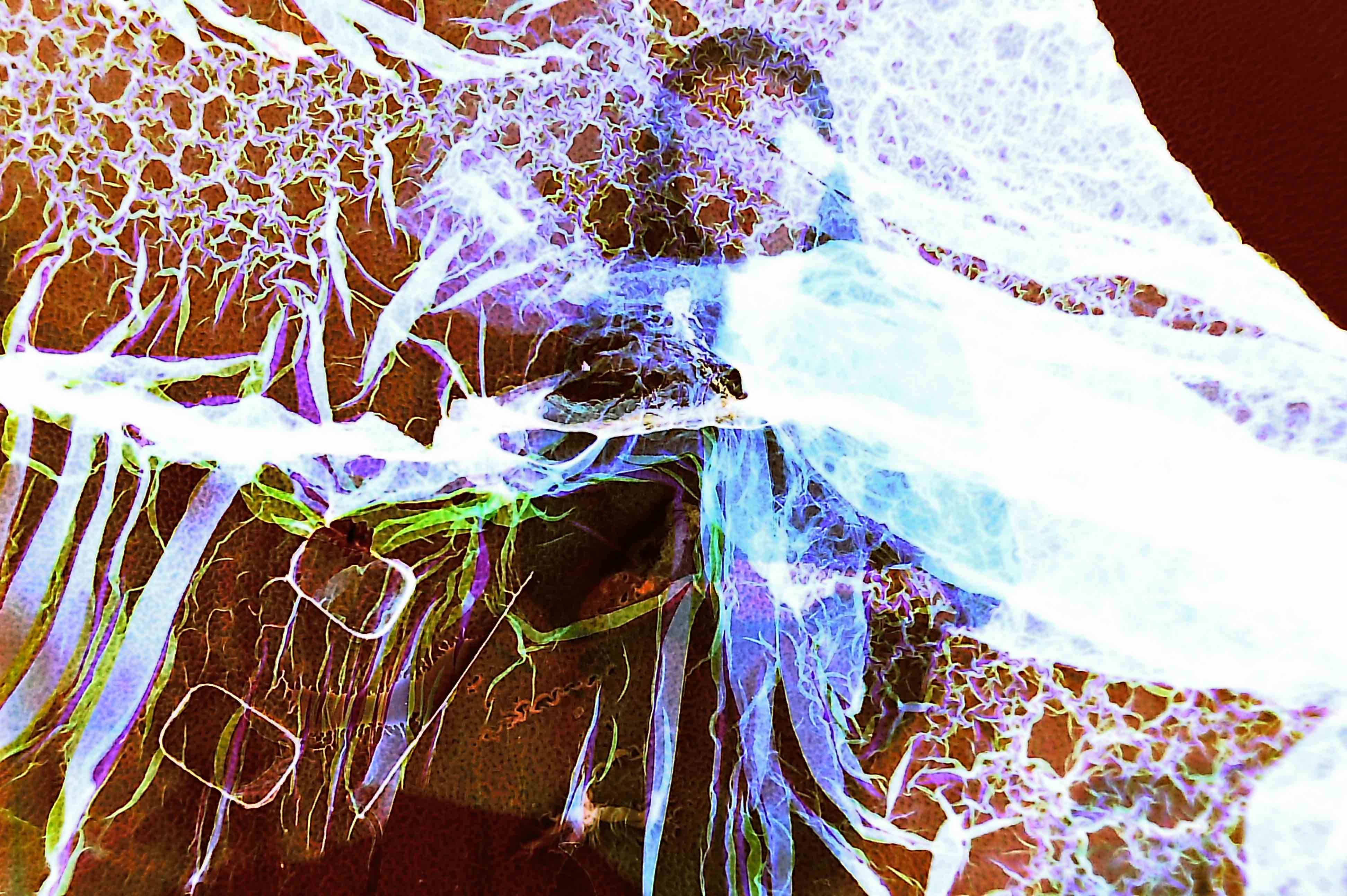 Not At All Digital, Not Even Mechanical photograph 2