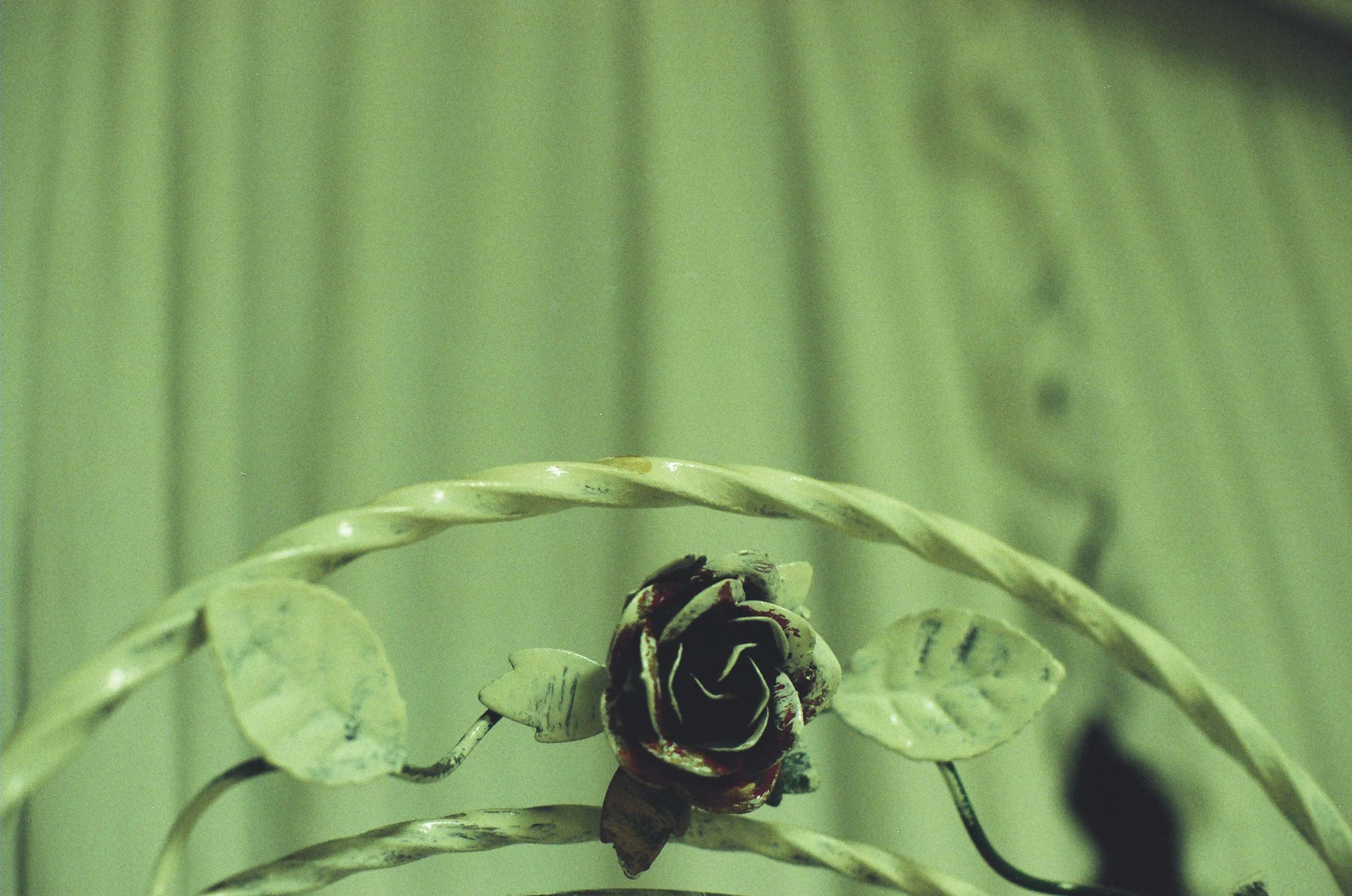 Late Childhood photograph 3