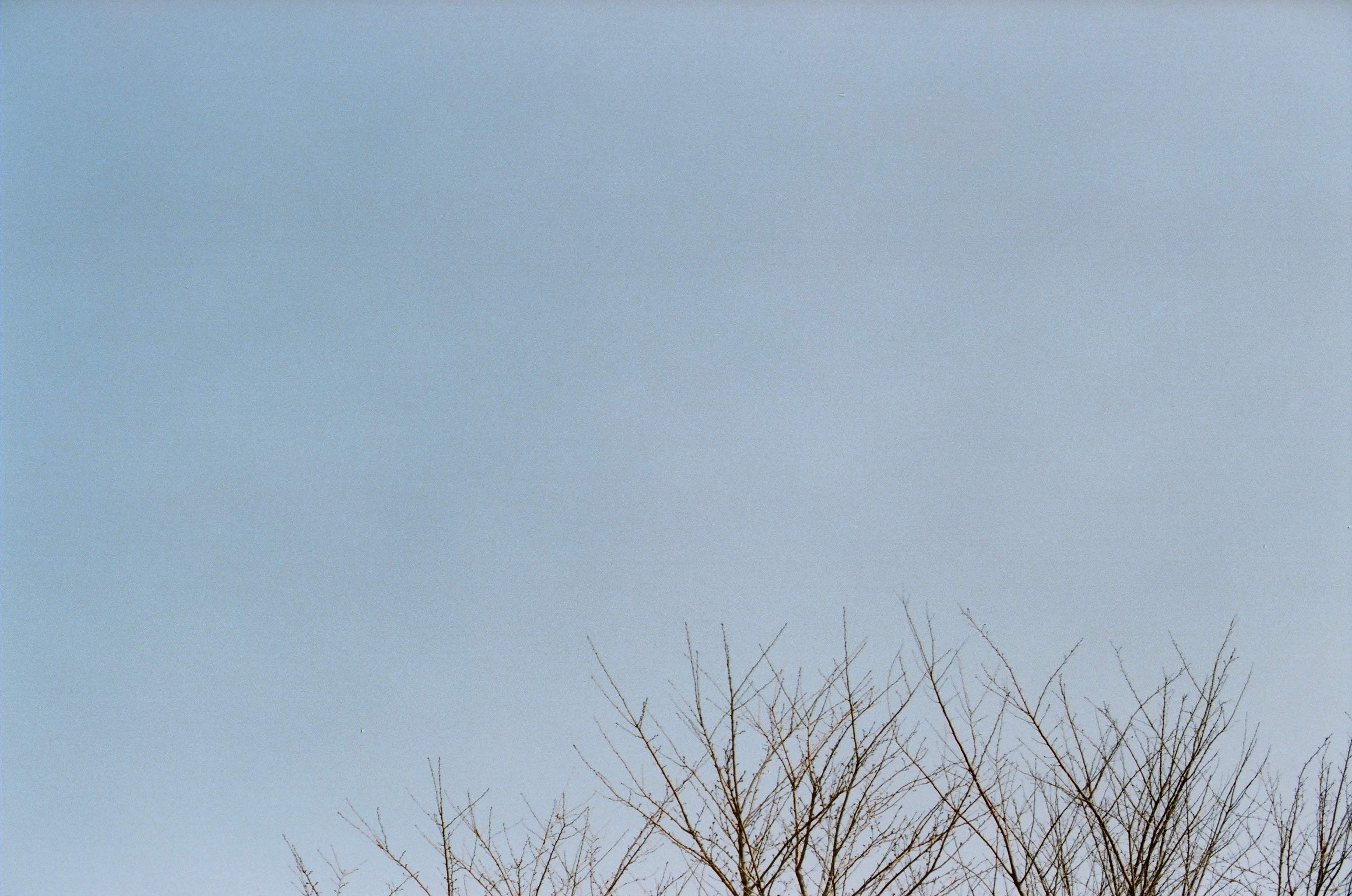 Late Childhood photograph 4