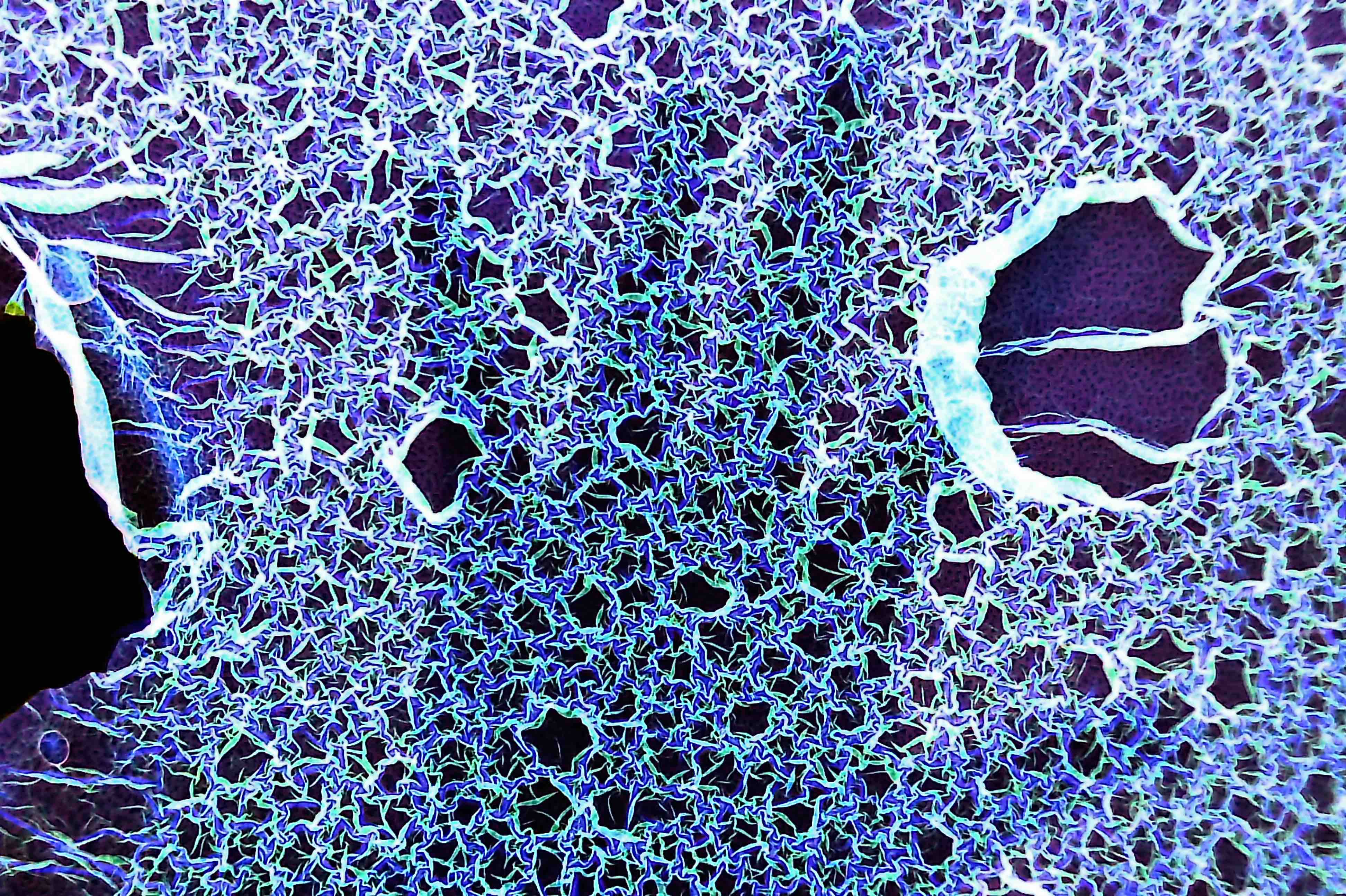 Not At All Digital, Not Even Mechanical photograph 6