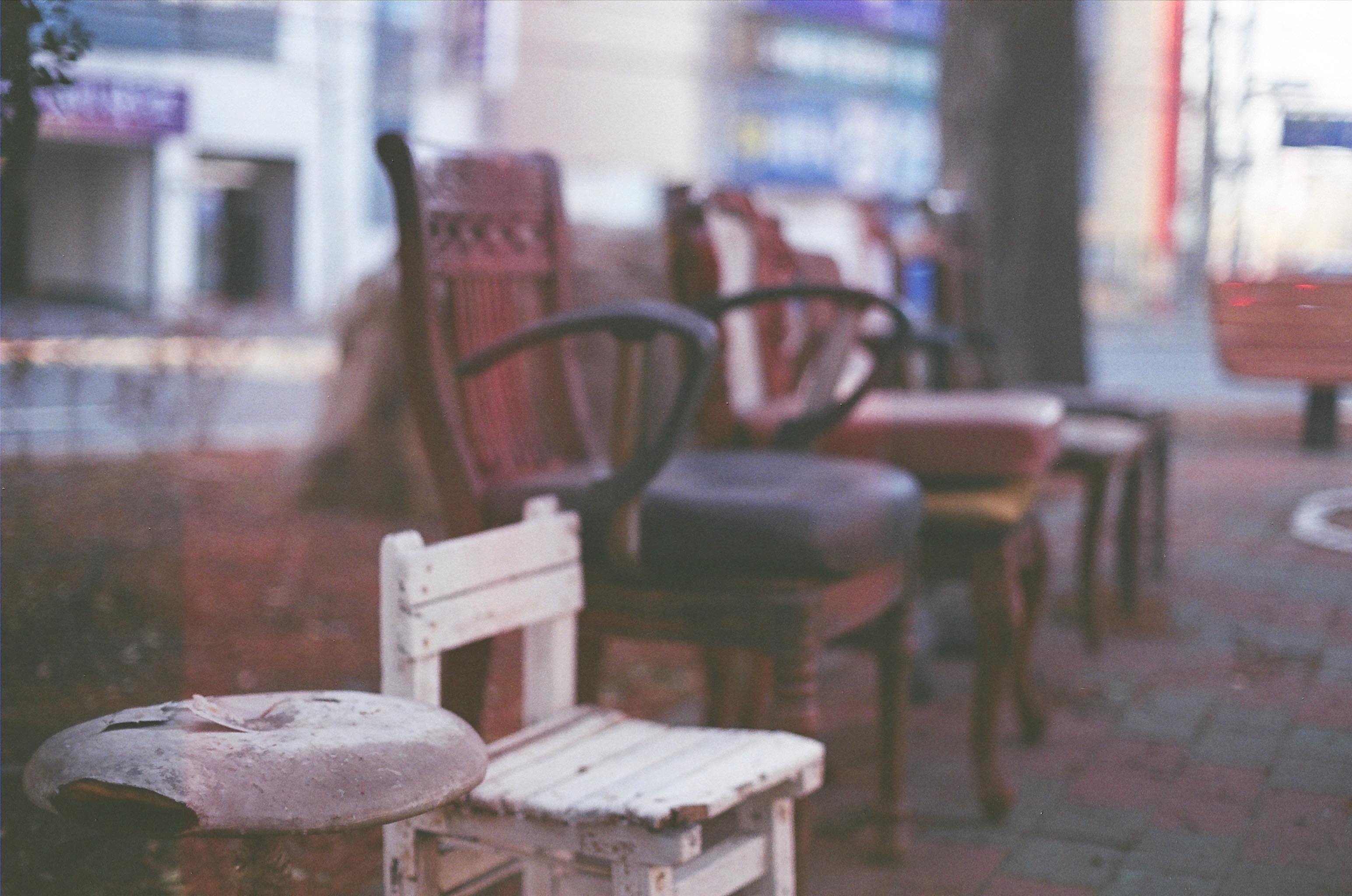 Late Childhood photograph 6