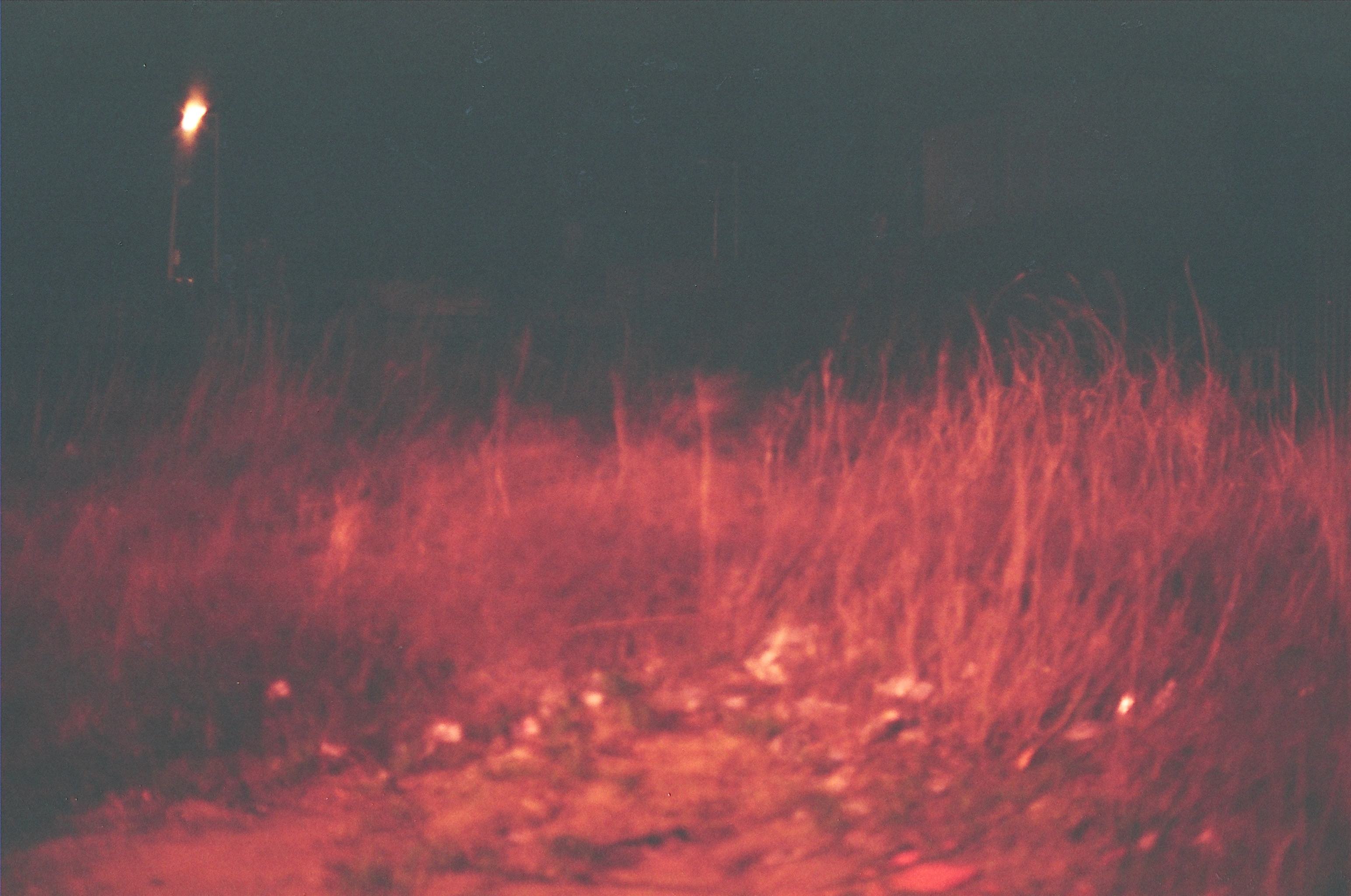 Late Childhood photograph 7