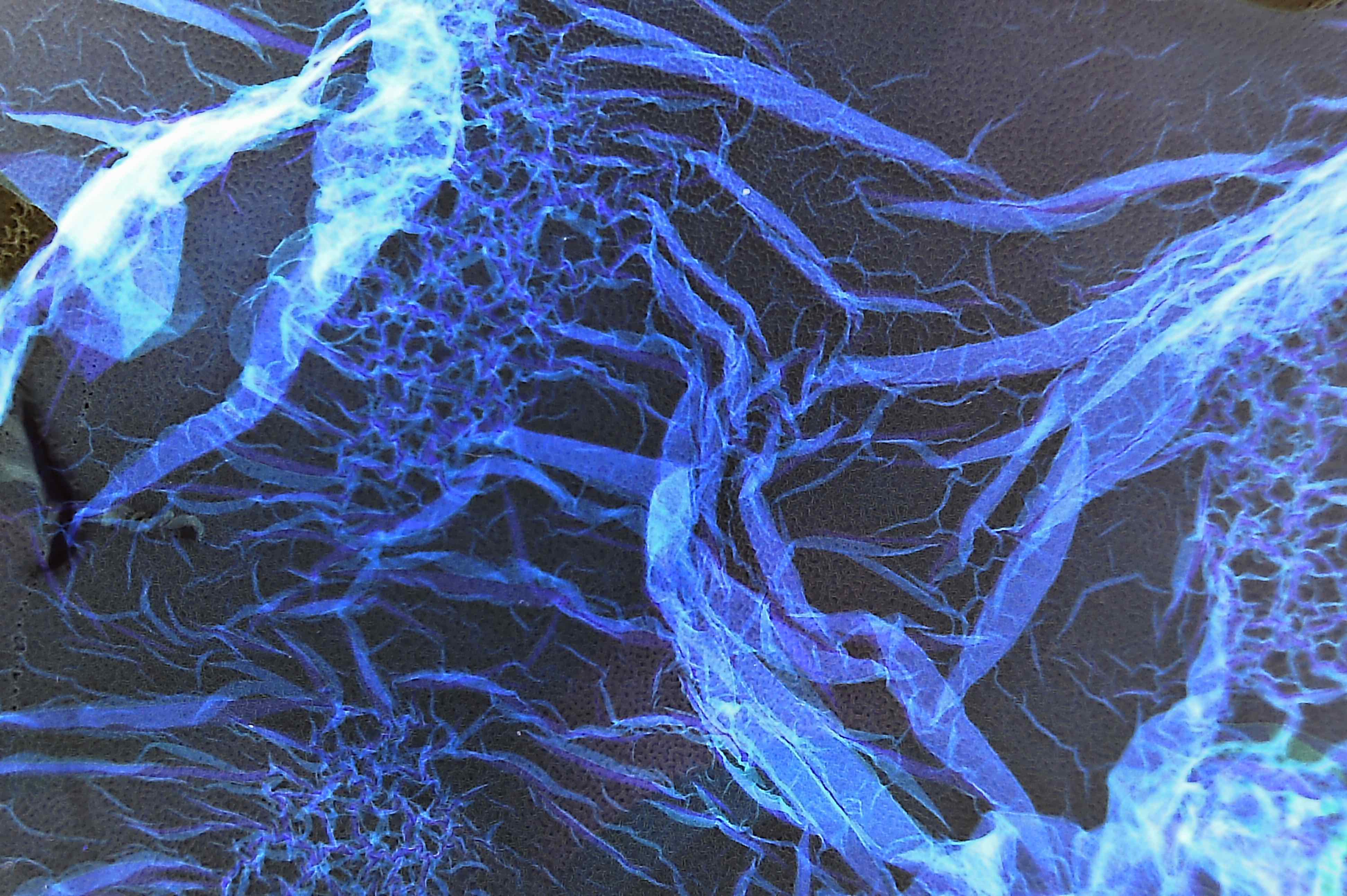 Not At All Digital, Not Even Mechanical photograph 7