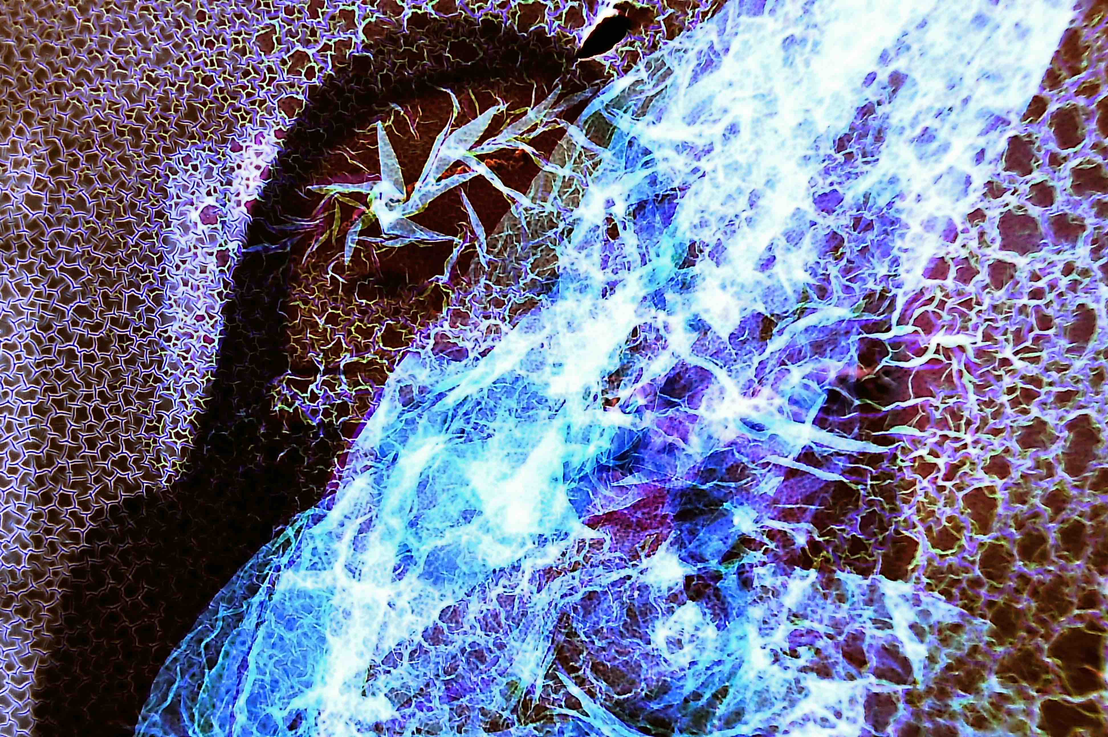 Not At All Digital, Not Even Mechanical photograph 8