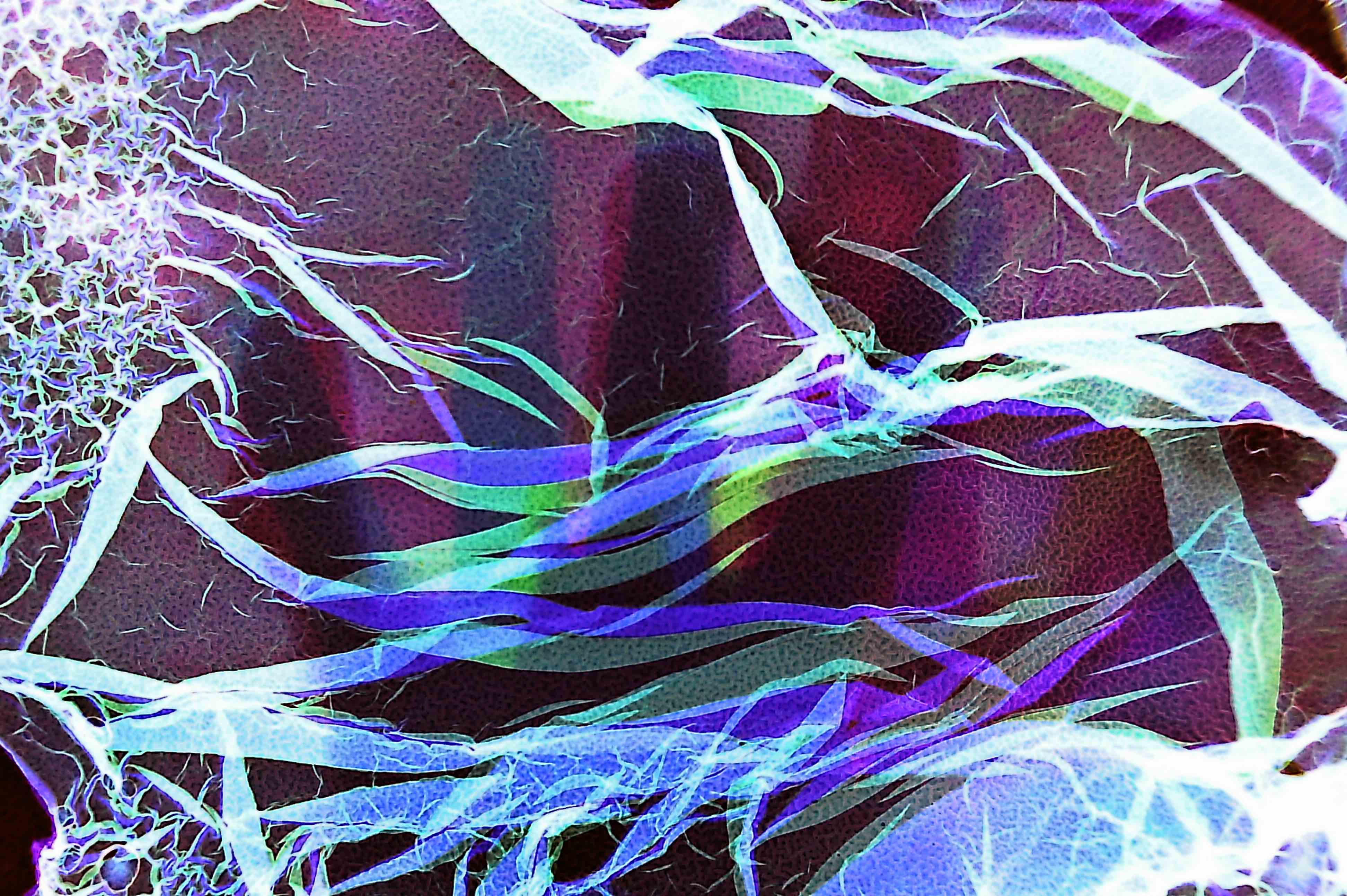 Not At All Digital, Not Even Mechanical photograph 9