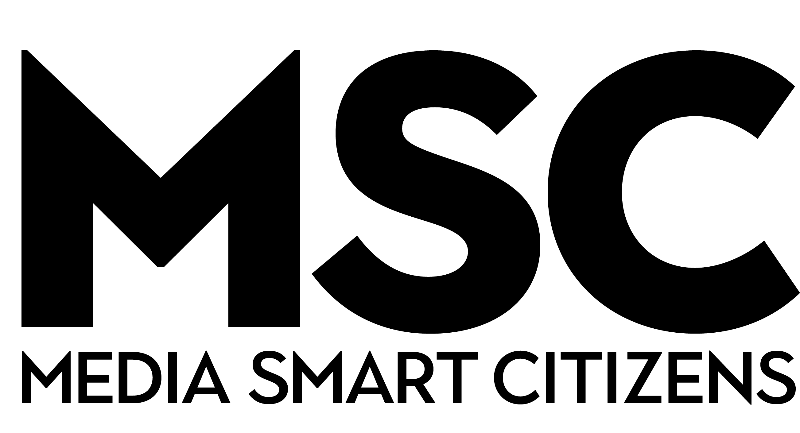 Media Smart Citizens lockup variation