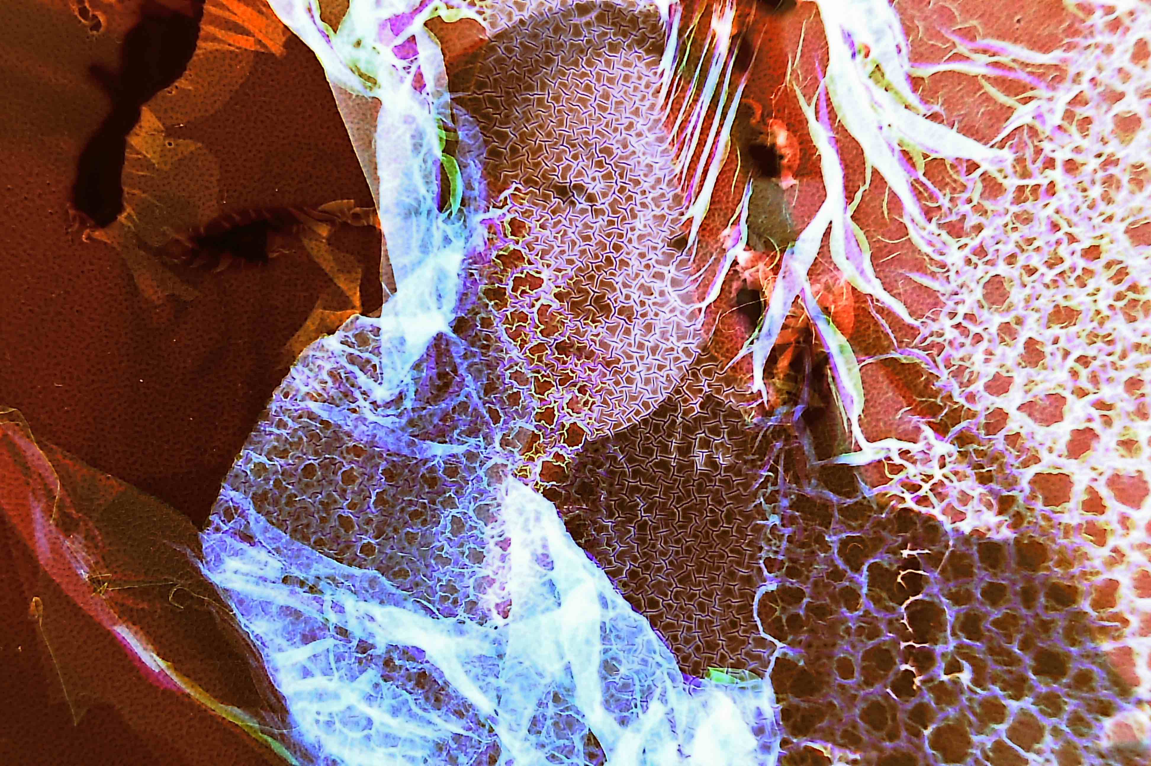 Not At All Digital, Not Even Mechanical series thumbnail