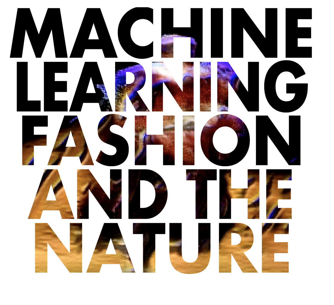 Reference domains map for BirDress