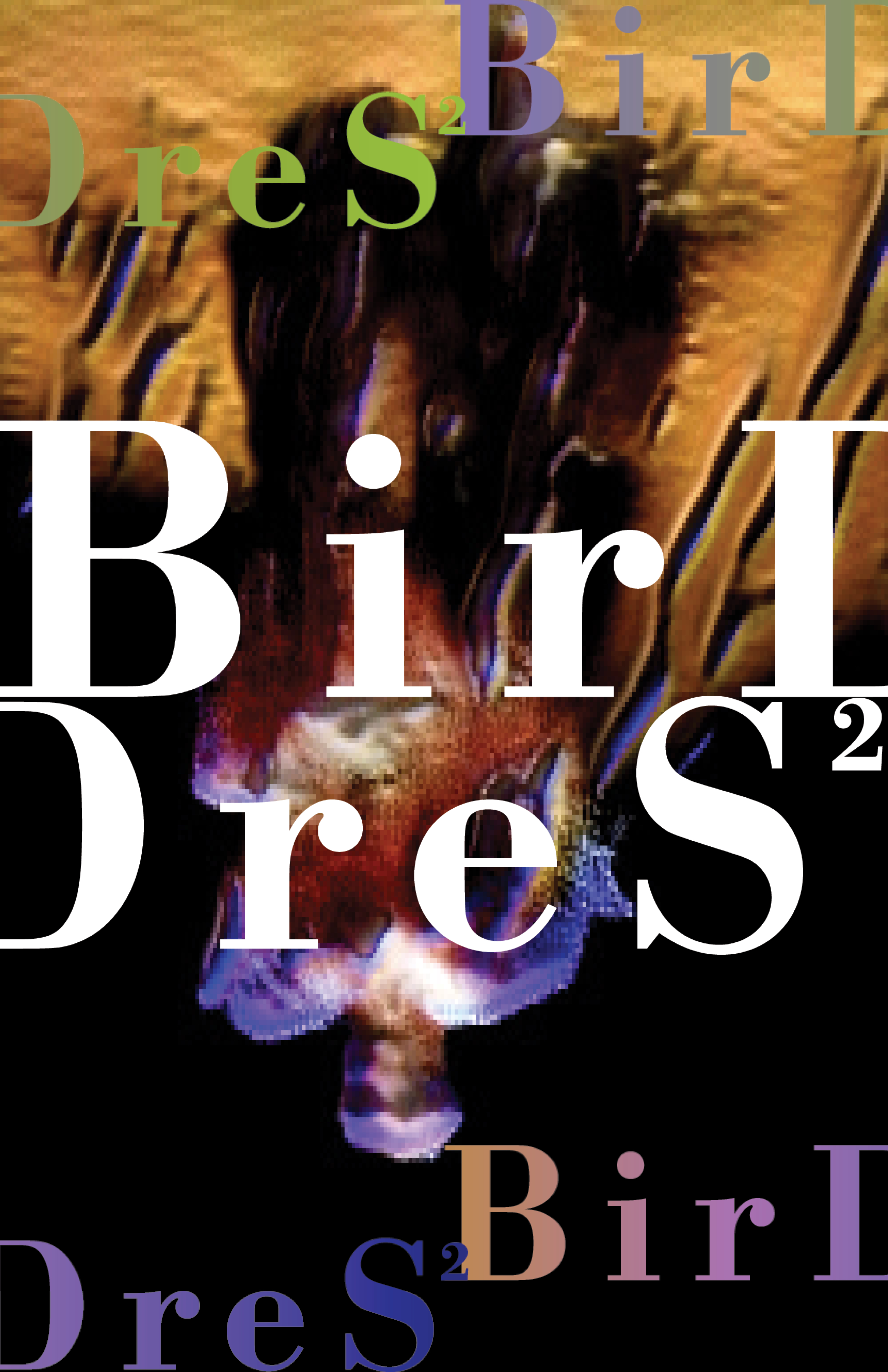 BirDress poster 2