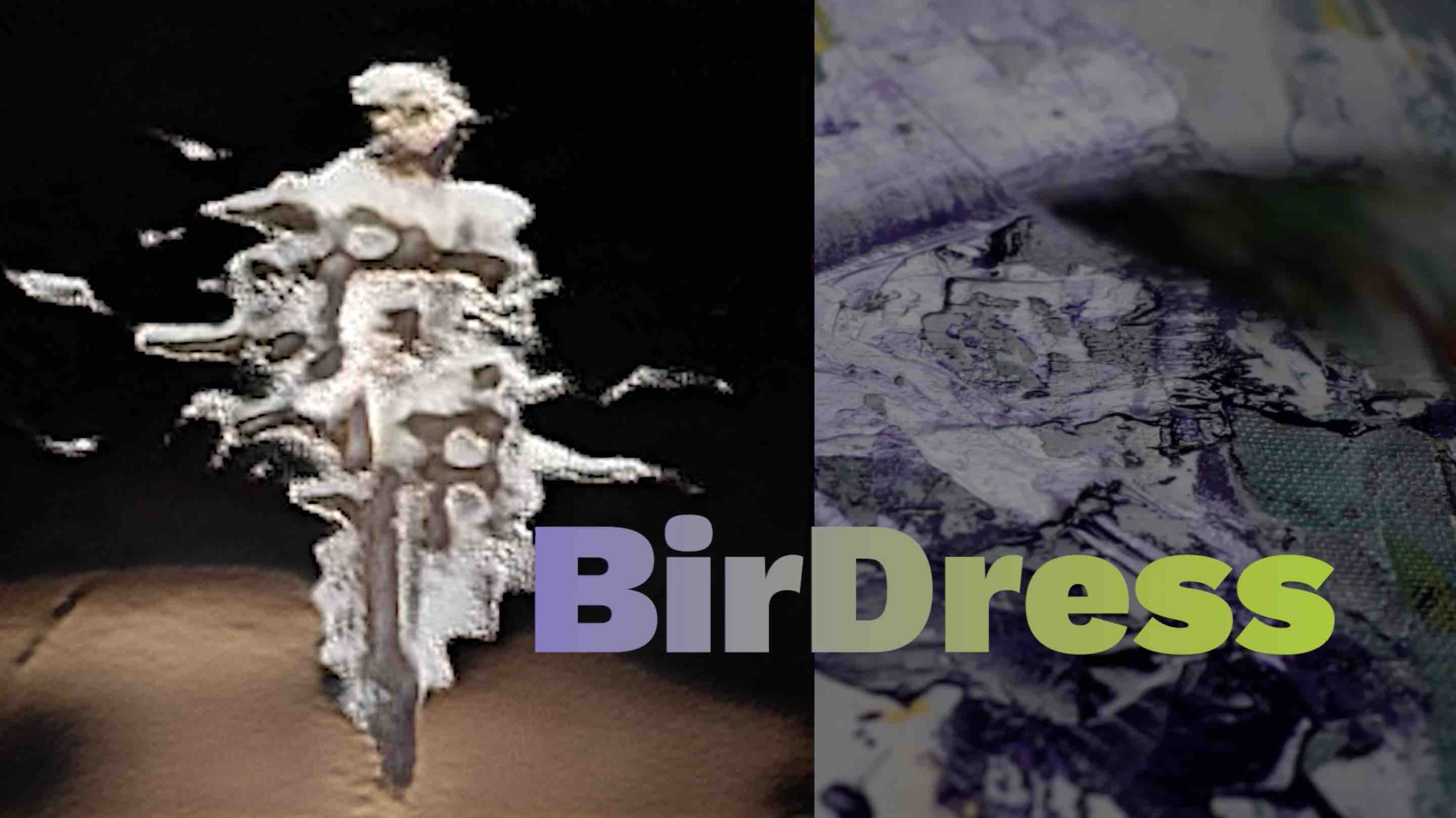 BirDress
